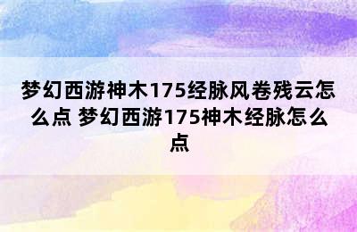 梦幻西游神木175经脉风卷残云怎么点 梦幻西游175神木经脉怎么点